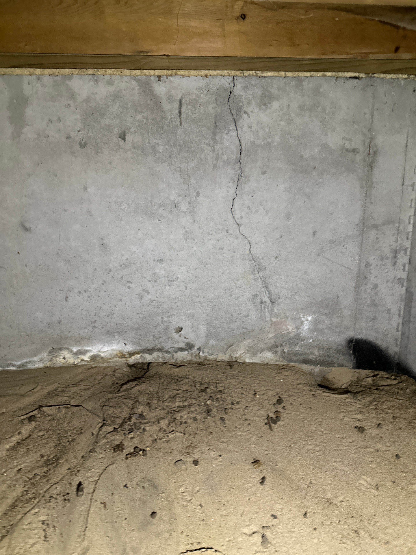Technician remediating mold on a wall in a Wichita home
