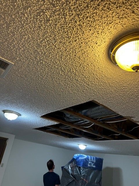 Mold Discovery!