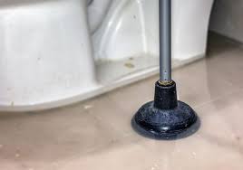 Sewage Cleanup Toilet Plunger